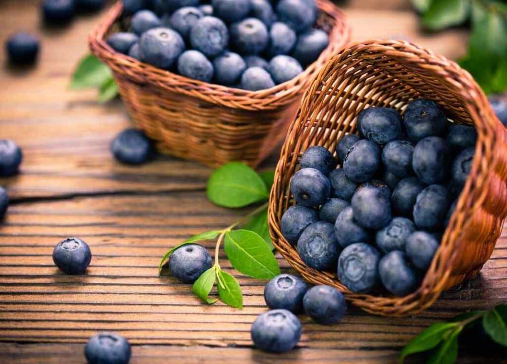 Blueberries as snacks